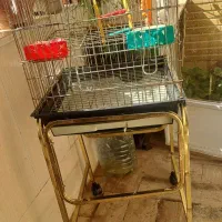 قفس بزرگ با پایه|لوازم جانبی حیوانات|کرج, استاندارد|دیوار