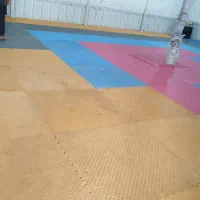 اجاره سالن ورزشی بانوان متراژ 120کف تاتومی