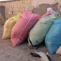 تعداد 8تا10تا‌ کود کبوتر|خدمات باغبانی و درختکاری|تربت‌حیدریه, فتح المبین|دیوار