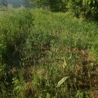 زمین کشاورزی و باغچه