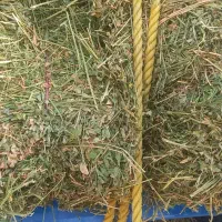 یونجه پرس انباری