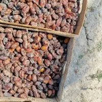 خرمای بناری پاک کرده شسته شده 270