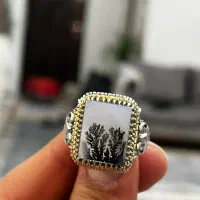 شجر گوارسه طلا