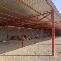 گاوداری فروشی/مجتمع نسیم/فول امکانات|فروش دفتر صنعتی، کشاورزی، تجاری|تربت جام, میان جام|دیوار