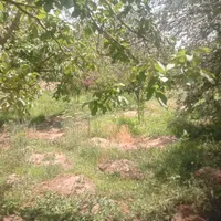 زریندشت اجاره باغ ویلا مبله
