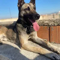 سلام به دلیل نداشتن جای برای فروش گذاشتم