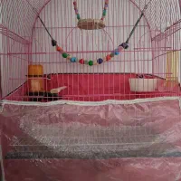 قفس بزرگ بفروش میرسد|لوازم جانبی حیوانات|باسمنج, |دیوار