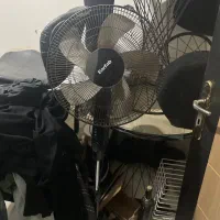 پکنه ایستاده