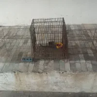 سه عدد قفس پرنده و حیوانات خانگی