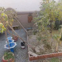 منزل-اجاره-ای-مبارکه