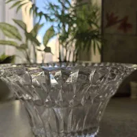 میوه خوری سوگا ژاپن