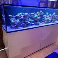 ساخت آکواریوم آب شور|ماهی|تهران, اسکندری|دیوار