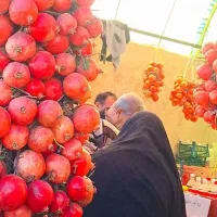 تفریح وتورگردشگری بانوان درمرودشت مقرون بصرفه|تور و چارتر|مرودشت, ثبت احوال|دیوار