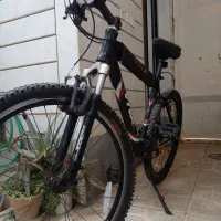 ویوا دوچرخه حرفه ایی آلومنیوم