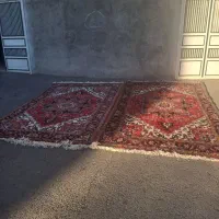 ۲عددفرش طبیعی|فرش|مشگین شهر, |دیوار