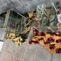 آکواریوم بزرگ با شیشه 10 میل