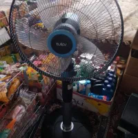 شوینده تاریخ دار