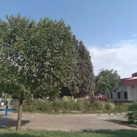 خانه دربست