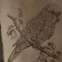 سوخته کاری روی چوب