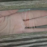 پرده زبرا|پرده، رانر، رومیزی|رشت, باهنر|دیوار