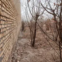 باغچه چهار دیواری|فروش زمین و ملک کلنگی|قلعه نو, |دیوار