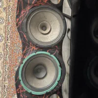 میدرنج ۱۲ جاسکو همراه طاقچه سه بعدی