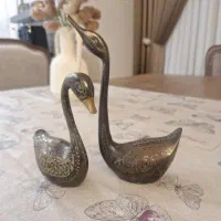 قو برنجی در حد نو