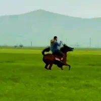 اسب مادیان سه سال بشرت سواری چشای رنگی ابی