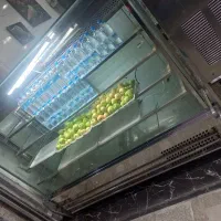 یخچال مکعبی