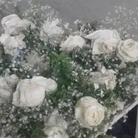 گل طبیعی مناسب برای  ماشین عروس