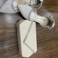 کفش و کیف مجلسی کرم ست