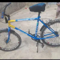 این دوچرخه بفرش میرود