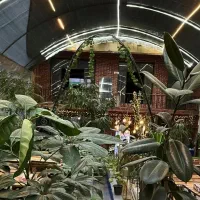 به یک خانم ویتر و صندوقدار نیازمندیم