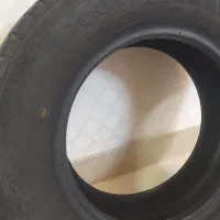 لاستیک تیبا  ساینا پیکان یک عدد