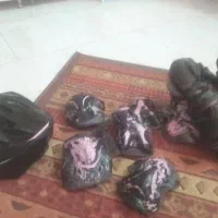 اسکیت