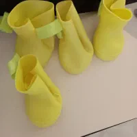 کفش پت سگ
