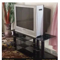 زیر تلویزیونی