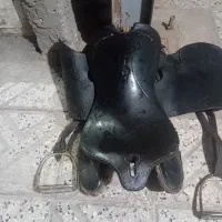 زین بختیاری