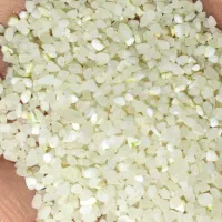 برنج خورده برنج و خورده اشی کامفیروز|عمدهفروشی|کامفیروز, |دیوار