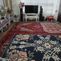 اجاره آپارتمان در امیر خیز