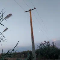 زمین کشاورزی و باغی قلندرمحله|فروش زمین و ملک کلنگی|گرگان, |دیوار