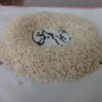 برنج لاشه هاشمی درجه یک گیلان|خوردنی و آشامیدنی|اسالم, |دیوار