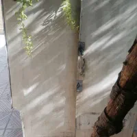 اتاق مزدا|قطعات یدکی و لوازم جانبی|شیراز, ده پیاله|دیوار