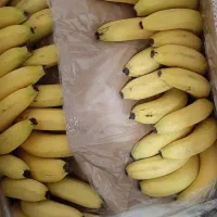 پک های  آماده مراسم ترحیم در شهریار،اندیشه شهر قدس|خدمات پذیرایی، مراسم|شهریار, شهریار|دیوار