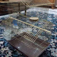 قفس پرنده