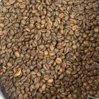 پخش قهوه و شکلات و پودری 44