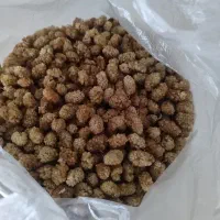 توت خشک  کیلو ۴۰۰