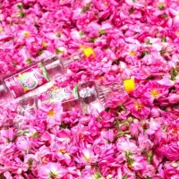 جذب نیروی نو جوان جهت کار شغل عرقیات در کاشان|استخدام صنعتی، فنی، مهندسی|کاشان, معلم|دیوار