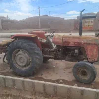 فرگوسن