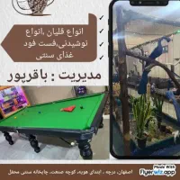 کارگر چایخانه (خانوم یا آقا)